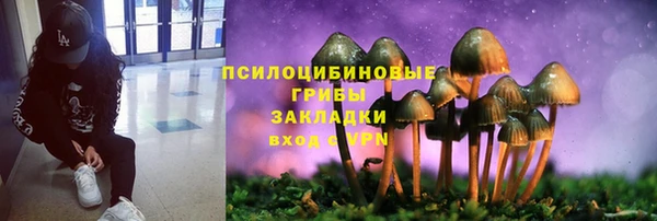 Альфа ПВП Нея