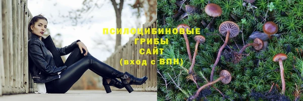 гашишное масло Абаза