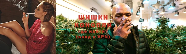 Альфа ПВП Нея