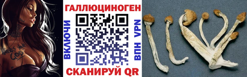 Галлюциногенные грибы прущие грибы  что такое   Юрюзань 